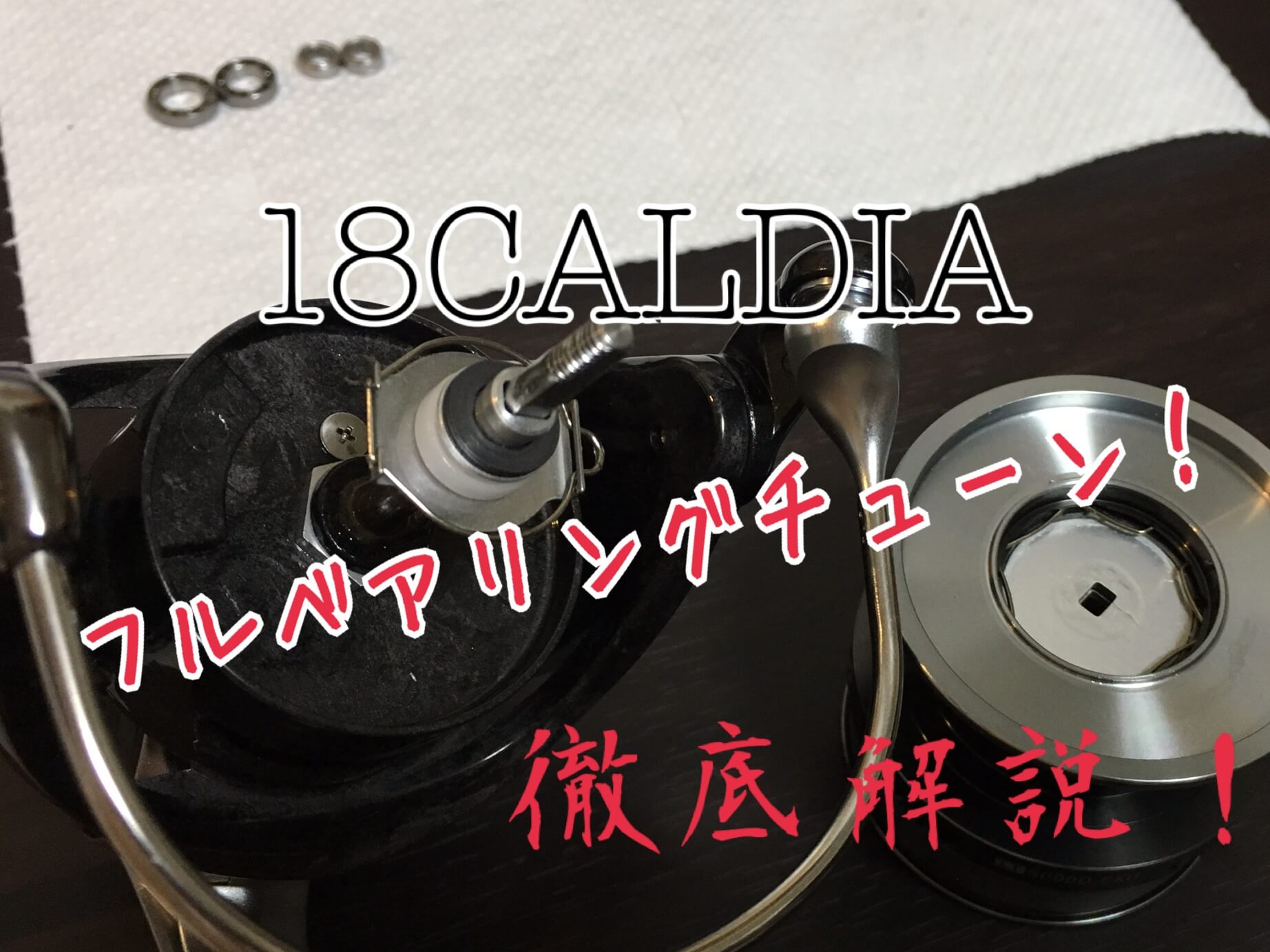 【実践！18カルディアLT5000D-CXHフルベアリング化】ヘッジホッグスタジオMAX11BBキットの交換方法を徹底解説 | 釣リズム