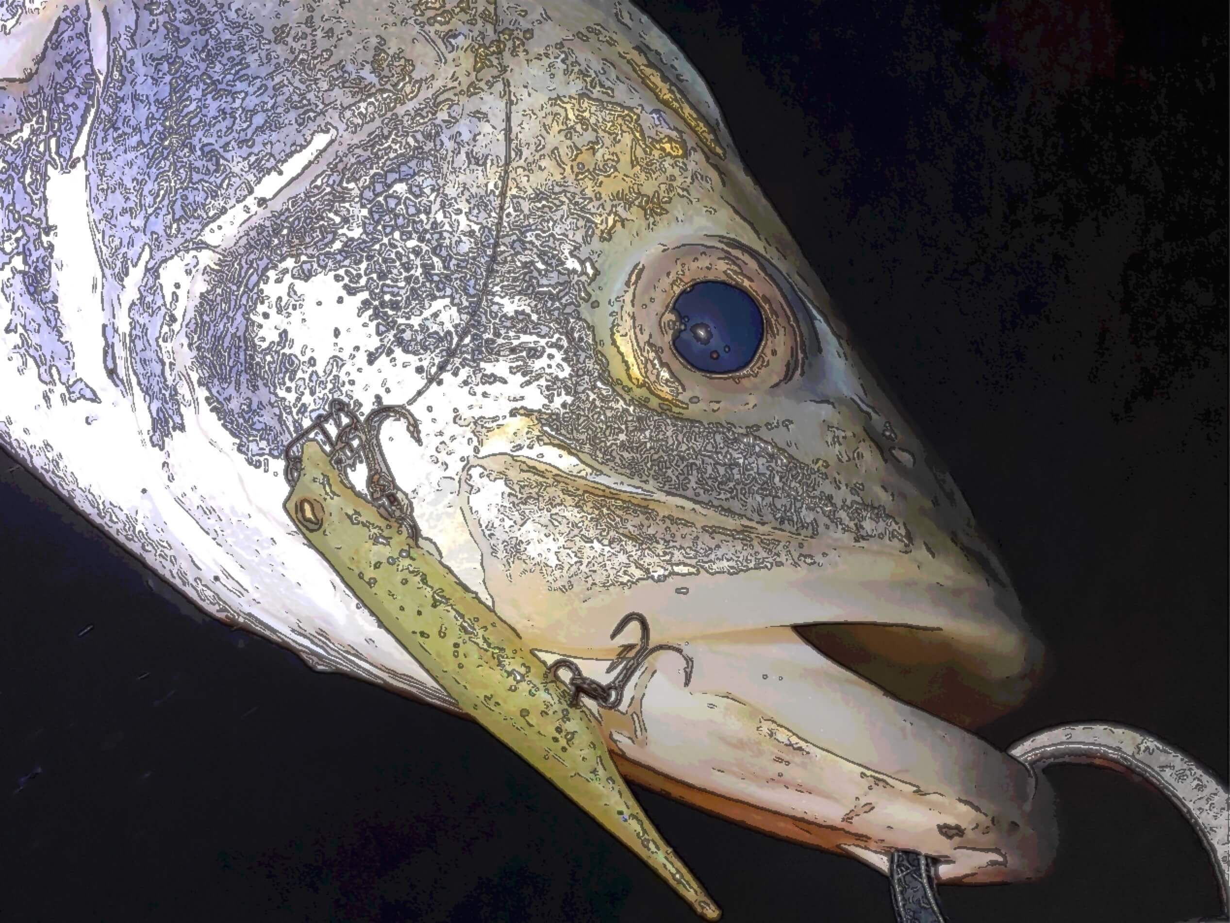 荒川シーバス釣行 工夫が楽しい逆風アミパターン 釣リズム