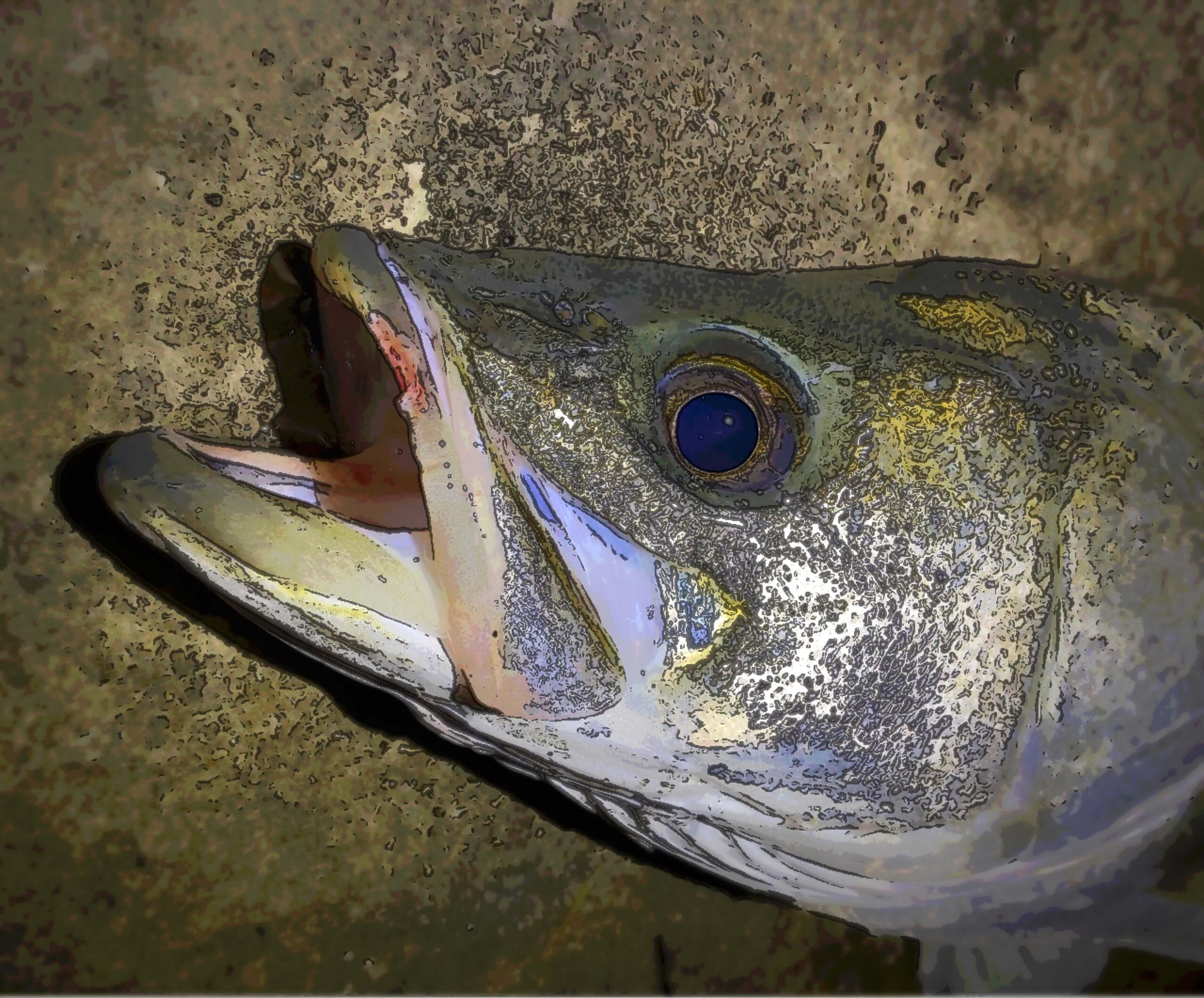 中川シーバス釣行 出がらし明暗でも秋らしく 釣リズム